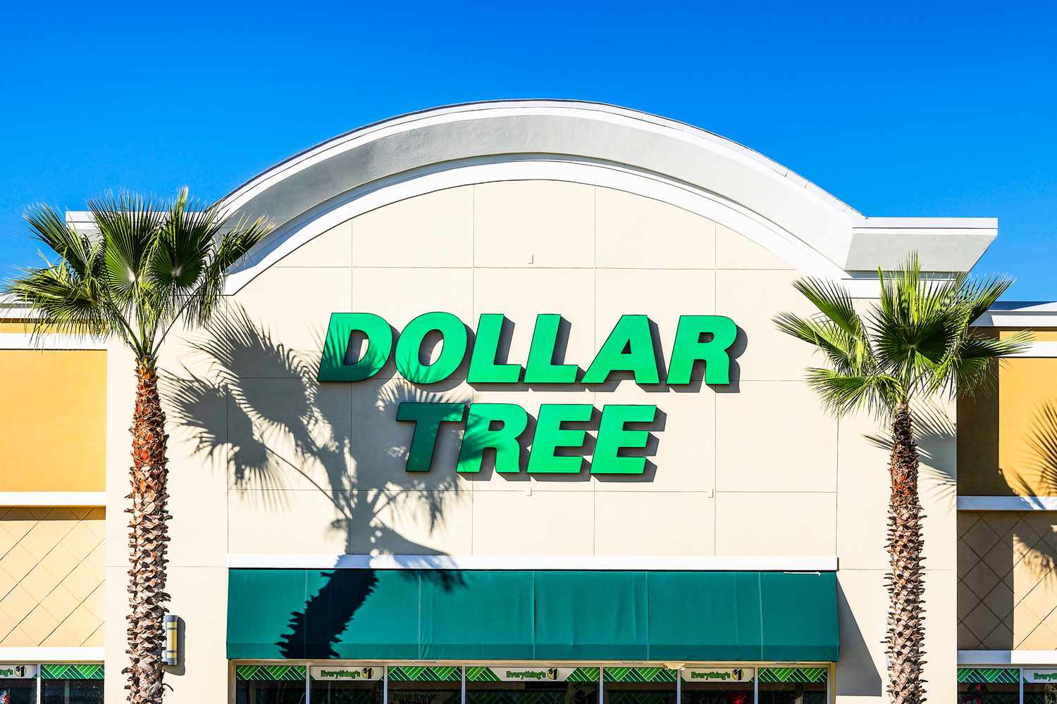 A Dollar Tree storefront with two palm trees flanking the sign