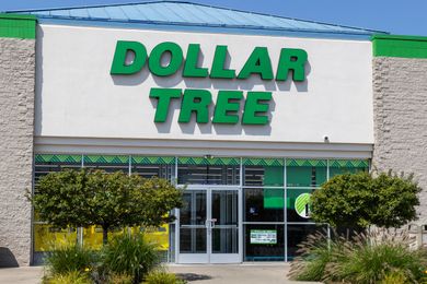 Entrance to a Dollar Tree store with prominent signage and decorative plants in the foreground