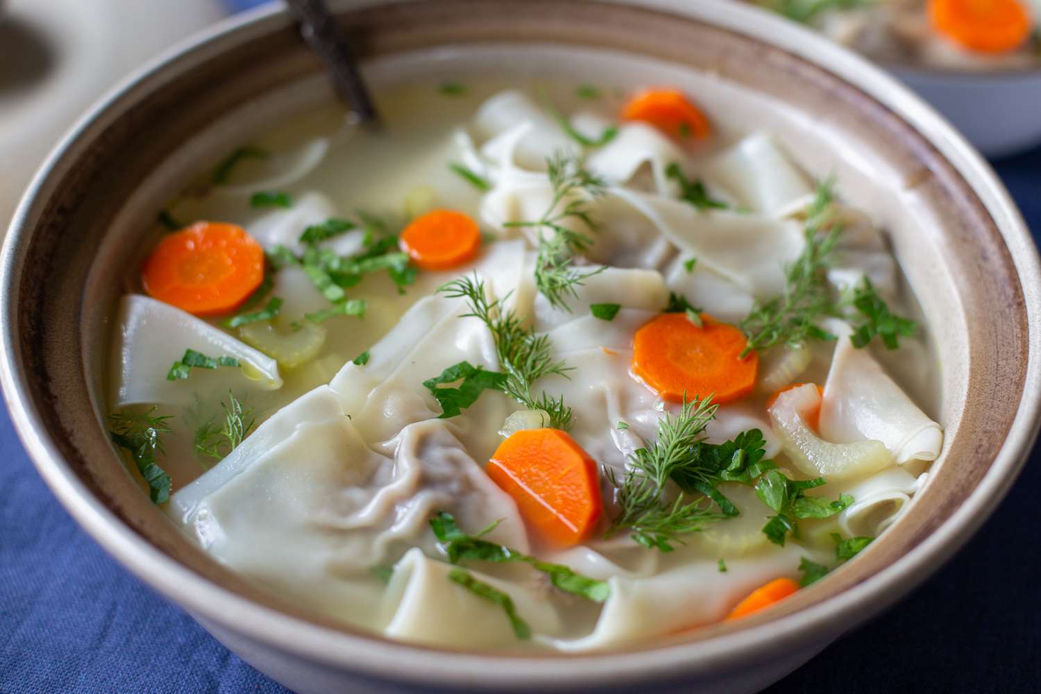Easy beef kreplach in chicken broth with carrots and celery 