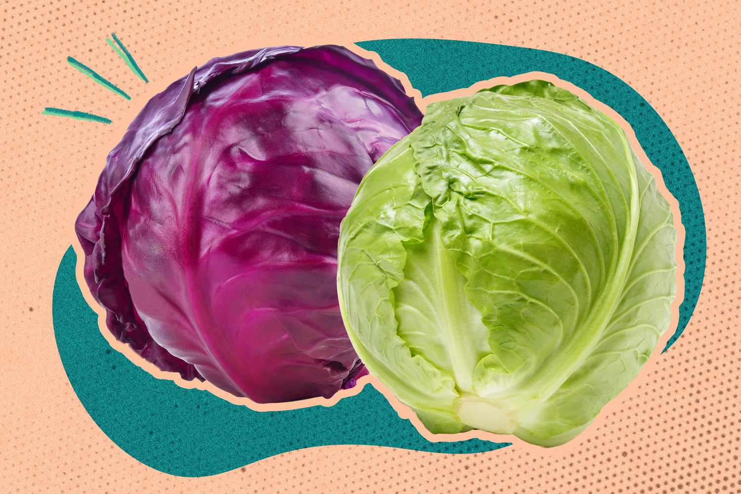 green and red cabbage over a colorful background