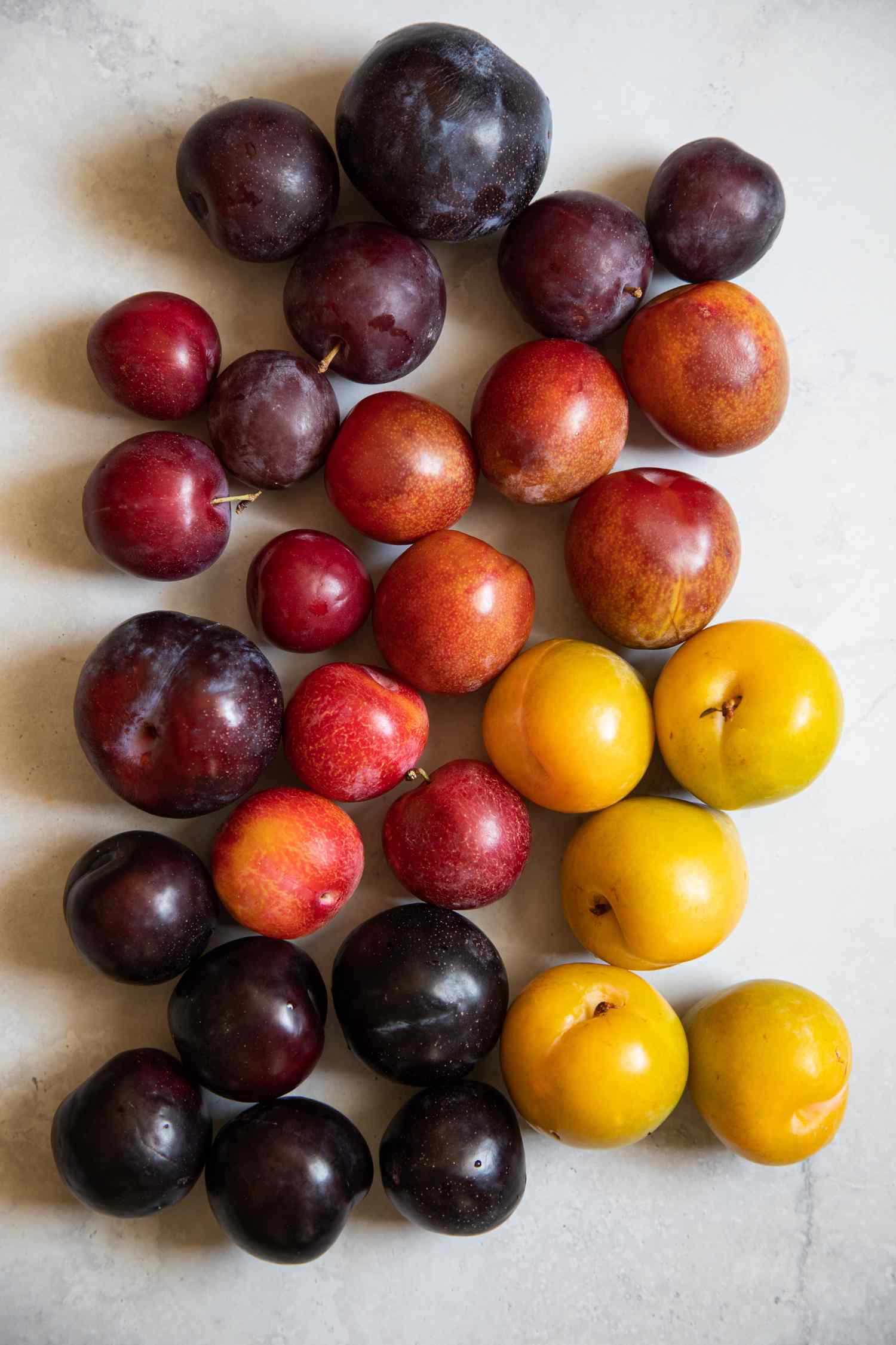 Colorful variegated collection of plums