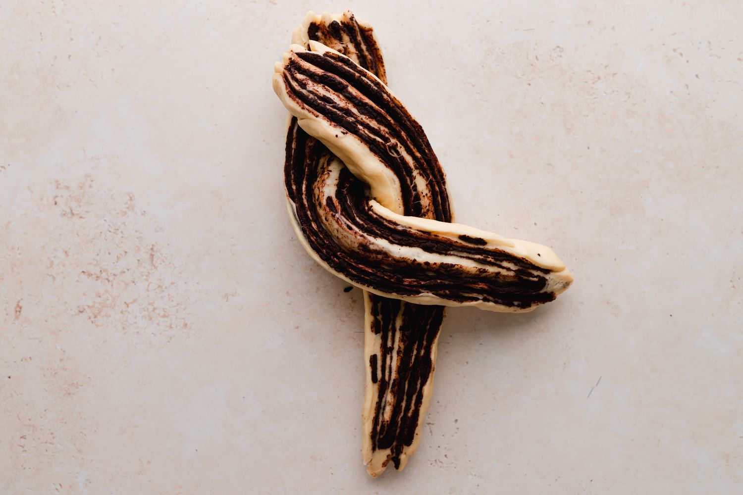 Braiding chocolate babka.
