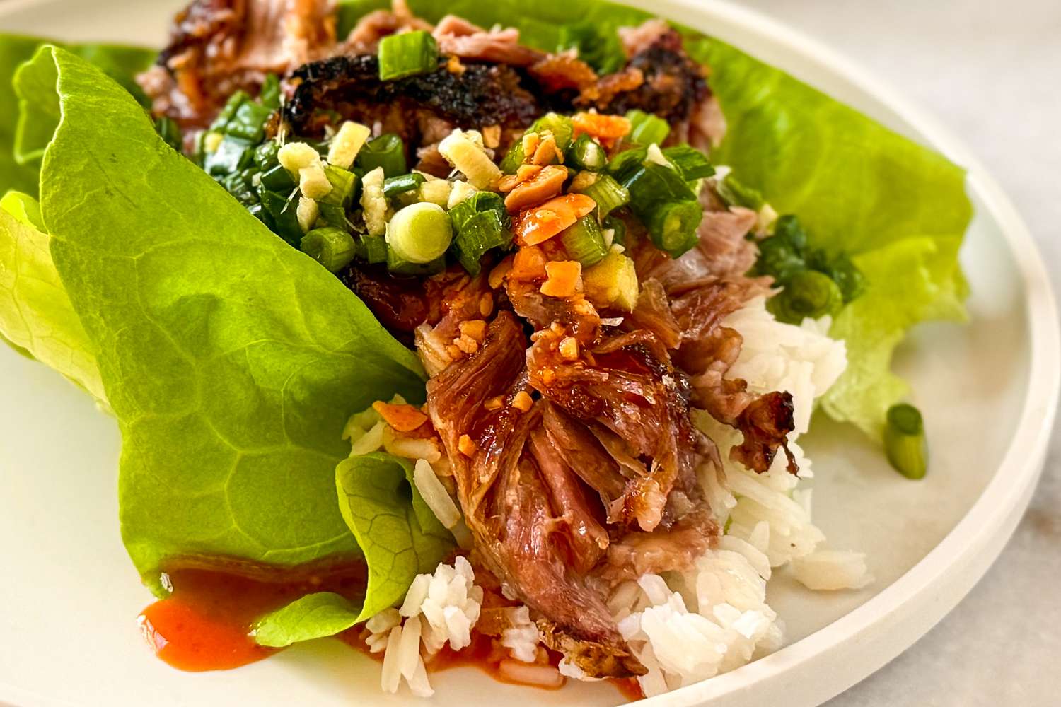 A plate with slowcooked shredded meat served on rice with lettuce and topped with green onions and carrots