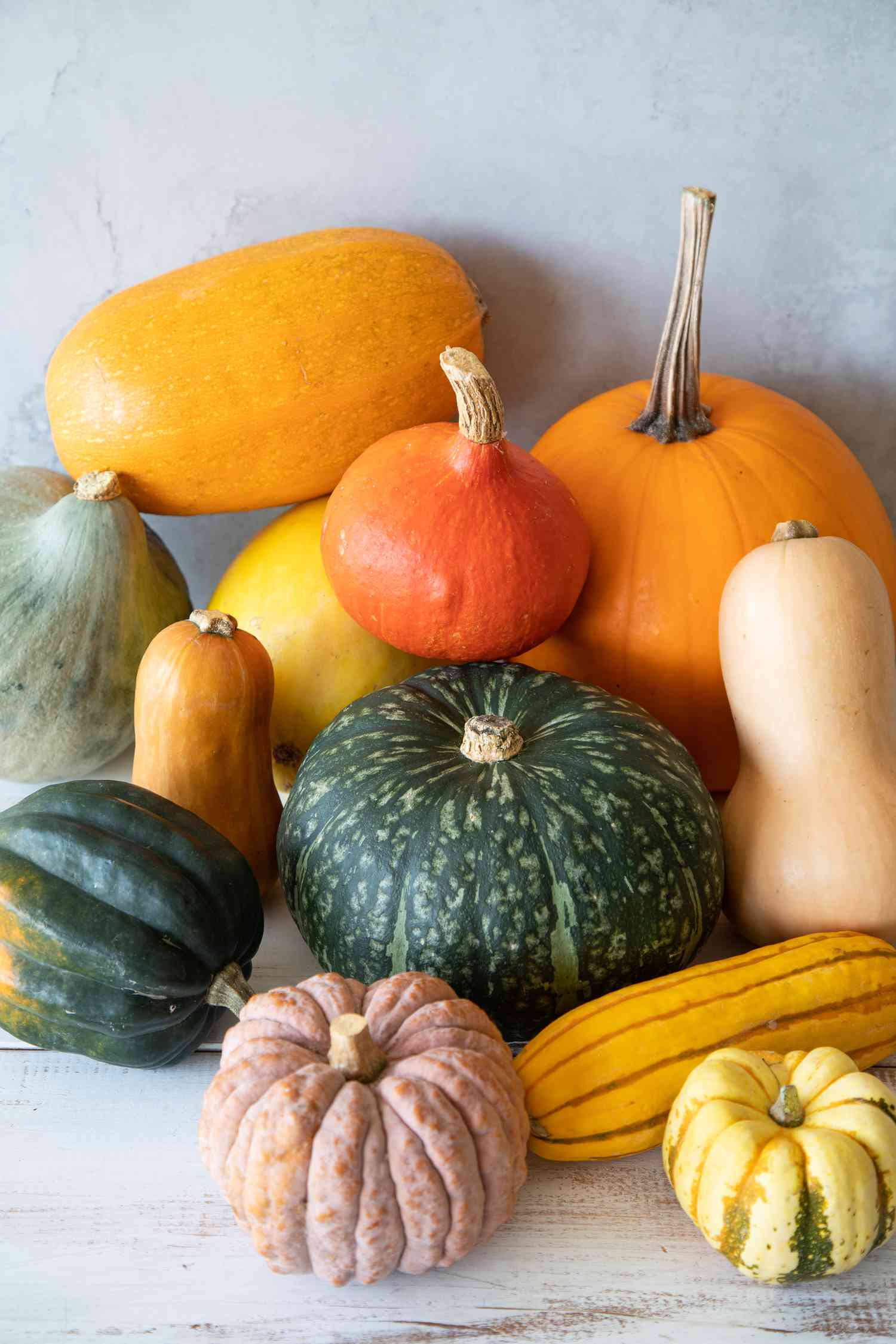 All varieties of winter squash