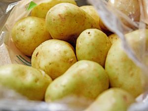 Green potatoes in a plastic bag