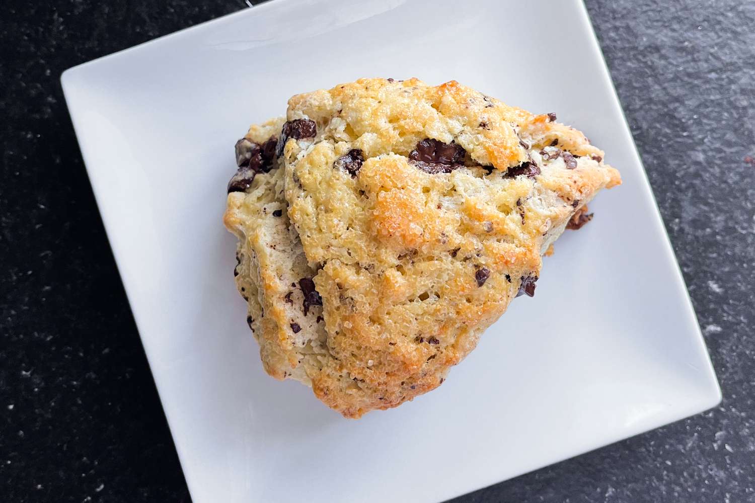 A scone with chocolate chunks on a square white plate