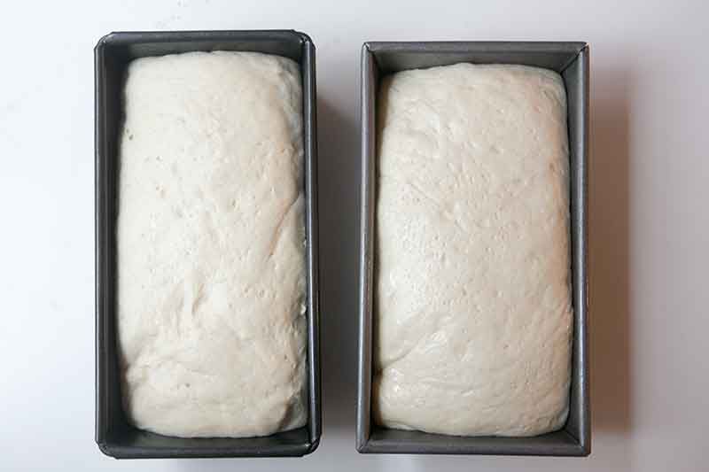 potato-bread-method-7