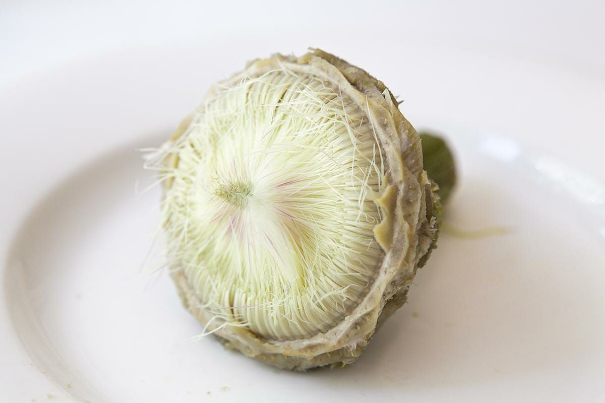 The artichoke "choke" remaining from a cooked artichoke with the leaves removed