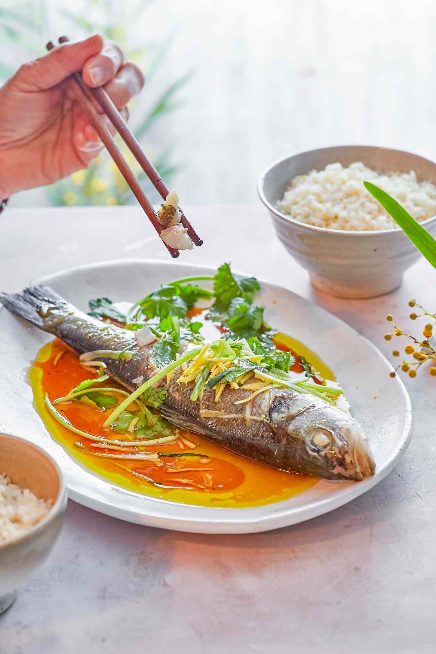 Overhead view of a steamed whole fish on a flatter and topped with sauce and herbs.