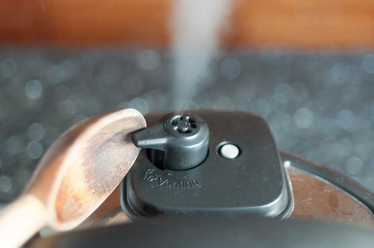 How To Make Fast, No-Soak Beans in the Pressure Cooker