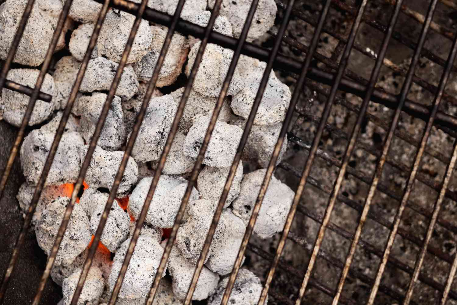 Grill with hot coals to show how to grill shrimp.