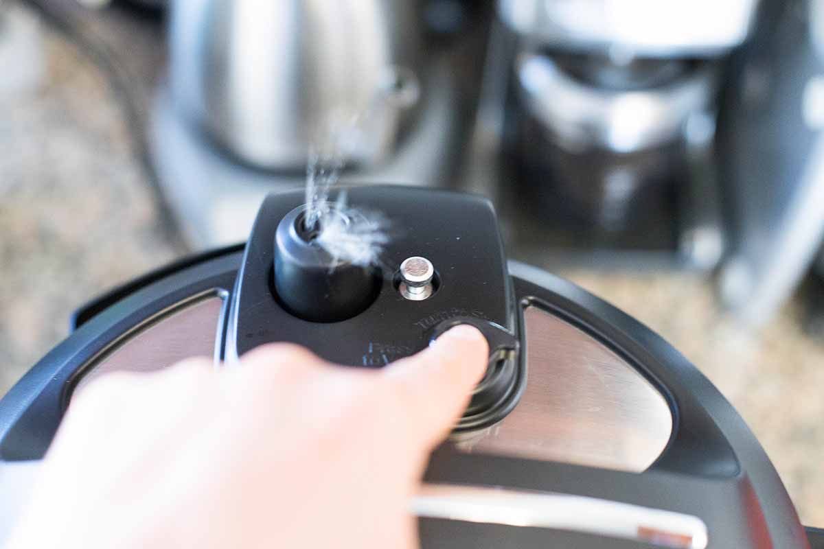 Pressure Cooker Chicken Adobo with Rice