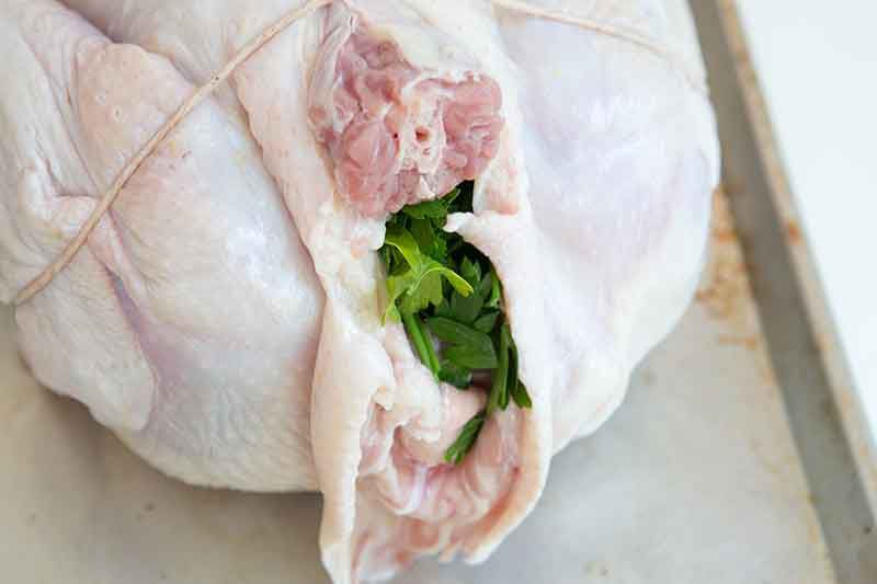 The neck cavity stuffed with herbs to show how to cook a turkey.