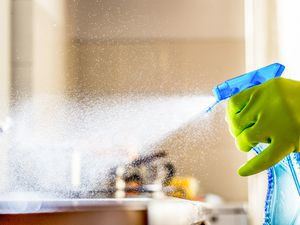 someone spraying the counters with a cleaning spray