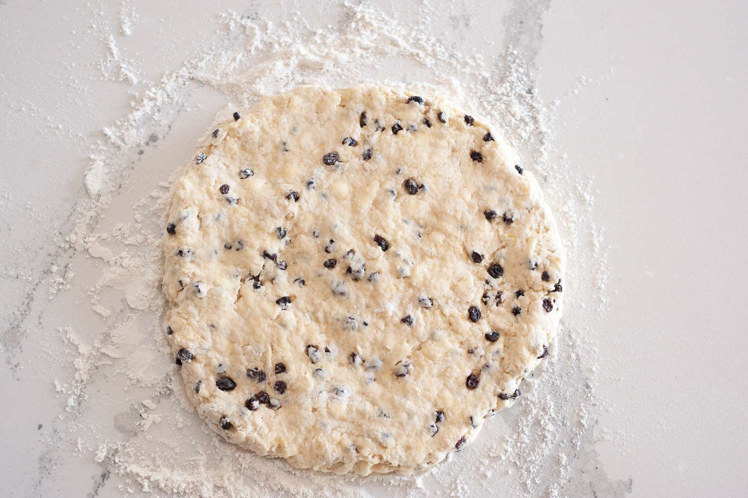 Irish Scones with Dried Currants rolled out on a floured counter.