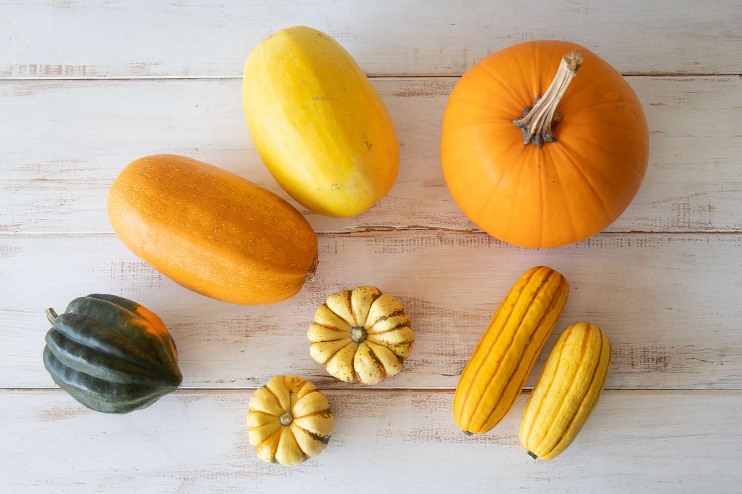 Orange pepe winter squash