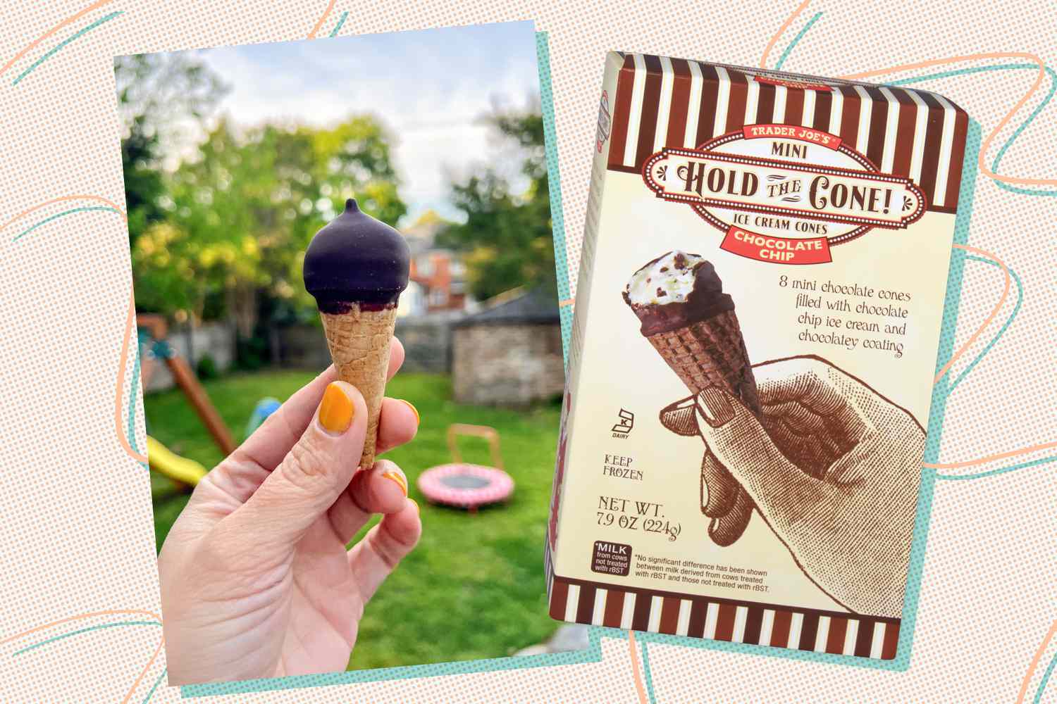 Trader Joe's "Hold the Cone!" mini ice cream cones