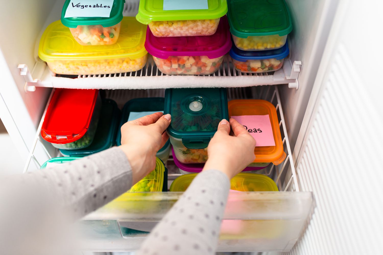 hands putting a container in a freezer