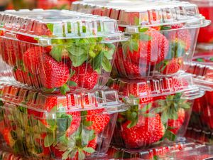 plastic containers of strawberries stacked up
