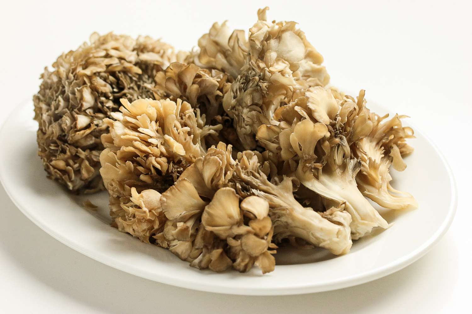 Plate of Maitake Mushrooms