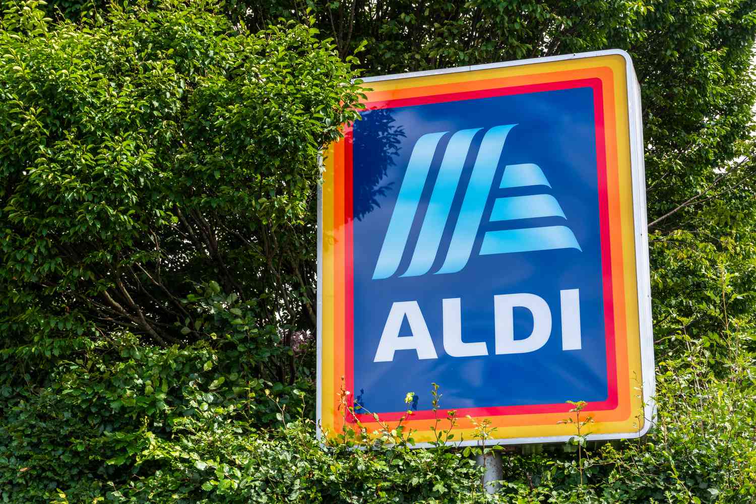aldi sign