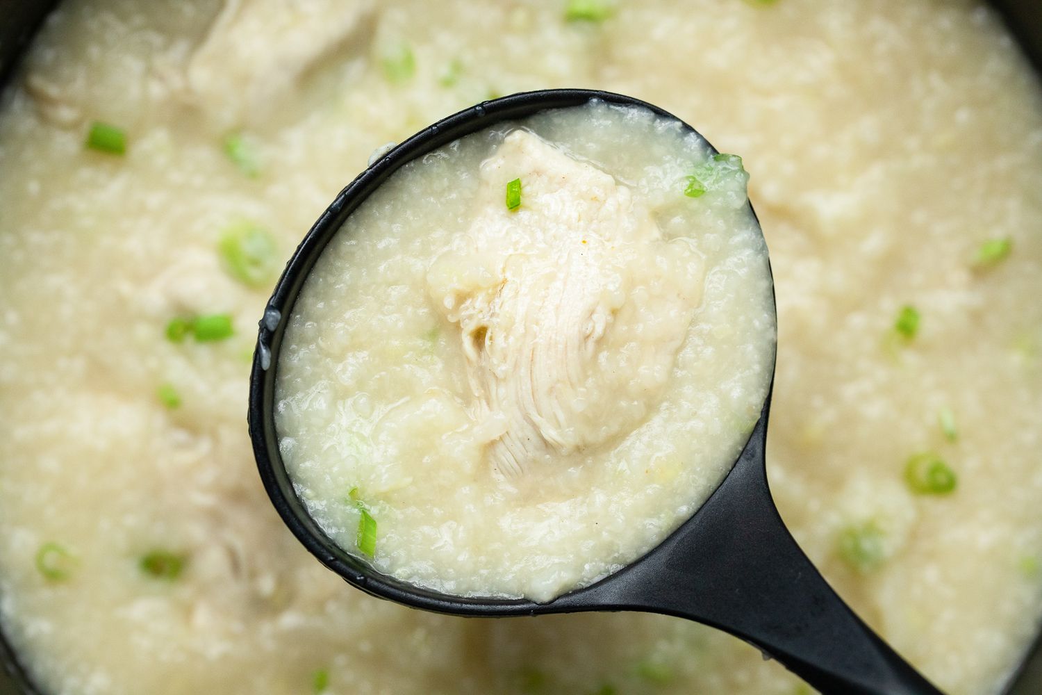 Ladle Full of Chicken Jook Topped with Scallions
