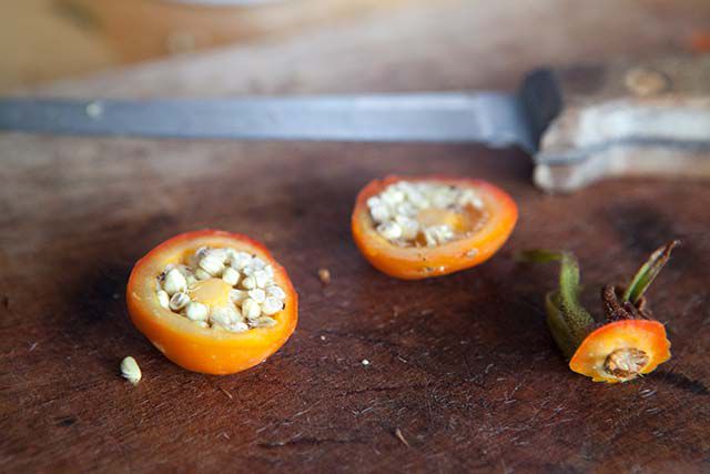 rose-hip-jam-method-1