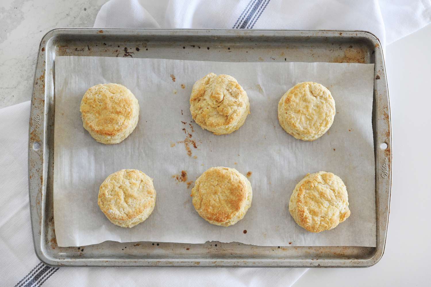 Authentic English Scones on a baking tray.