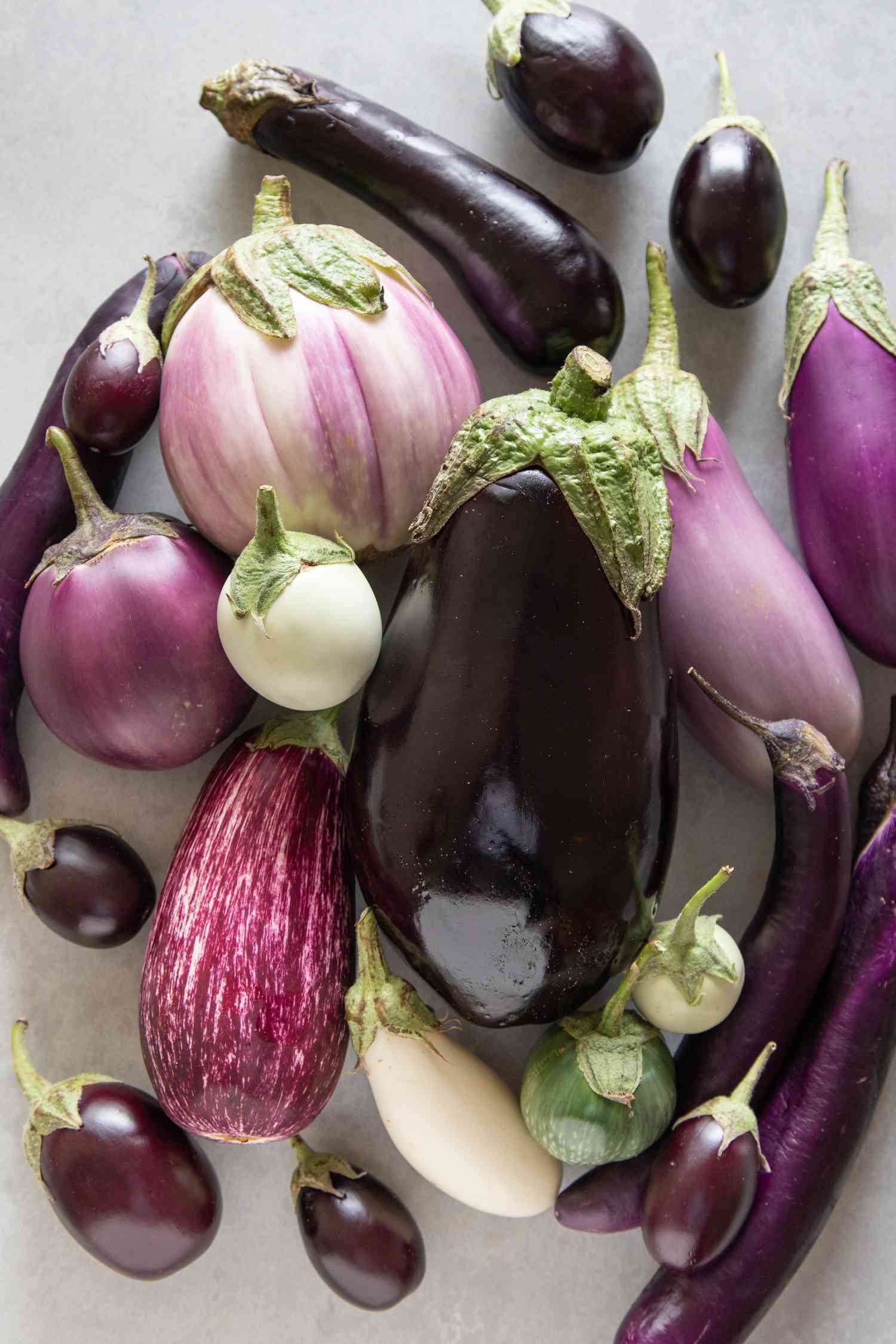 All the varieties of purple eggplant