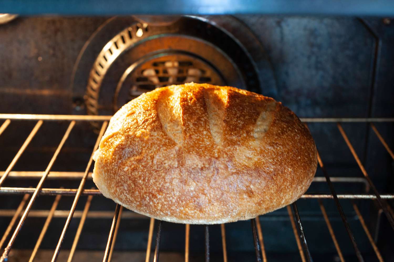 Loaf of Bread in Oven