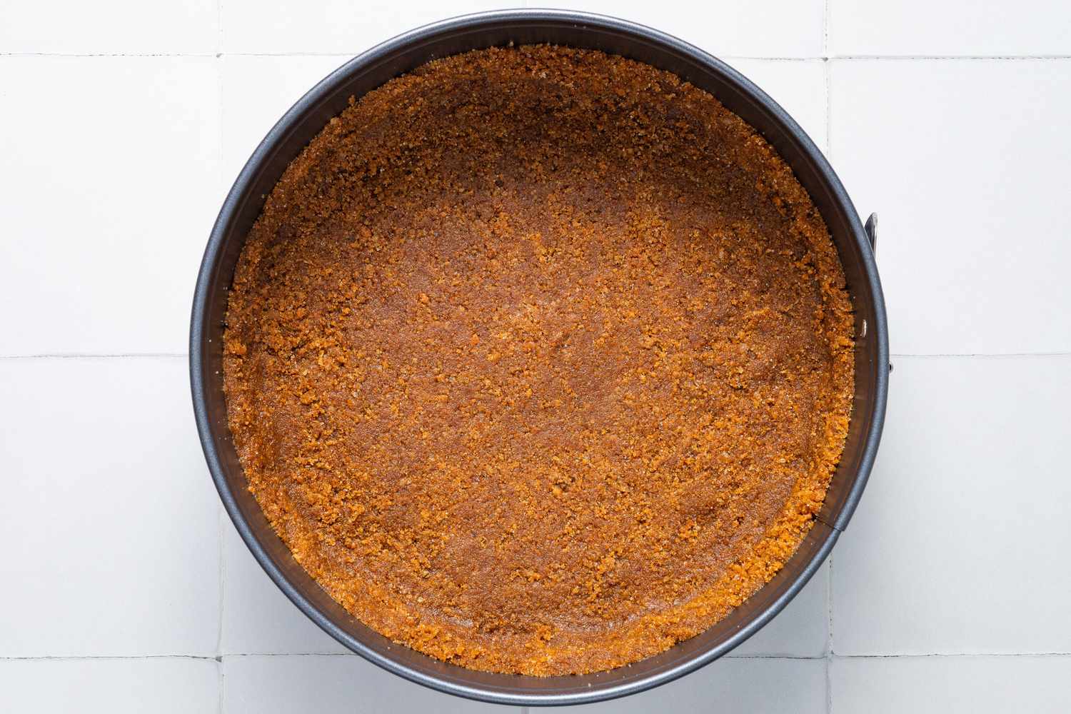 Gingersnap cookie crumb layer in a springform pan for Cookie crumb, butter, and sugar blended together in a food processor for no-bake pumpkin cheesecake recipe
