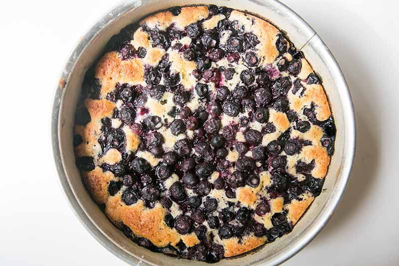 blueberry-cake-method-3