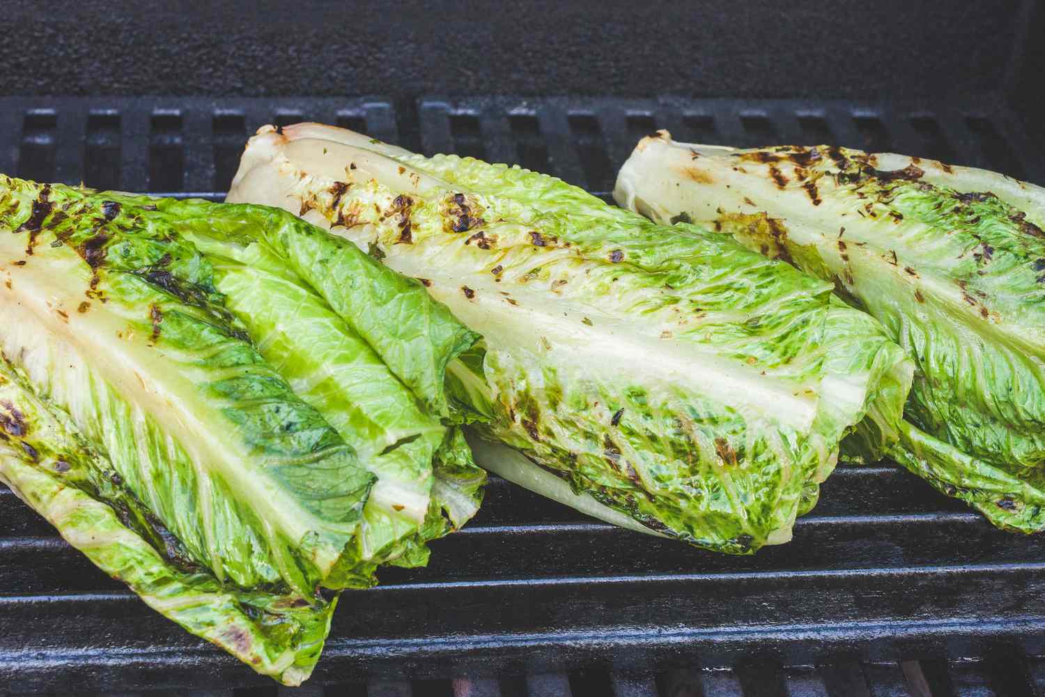 Three romaine hearts on the grill to make grilled romaine.