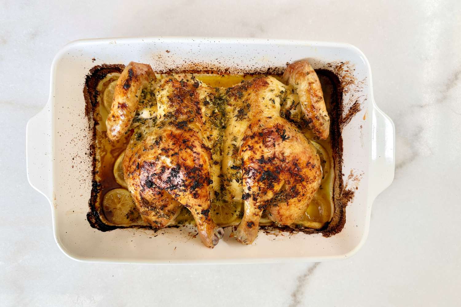 A butterflied chicken roasted on top of thinly sliced lemons in a white baking dish