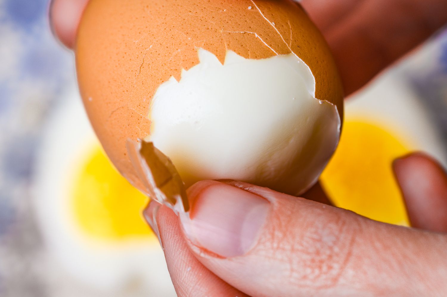Closeup view of fingers peeling a boiled egg from the wide bottom end