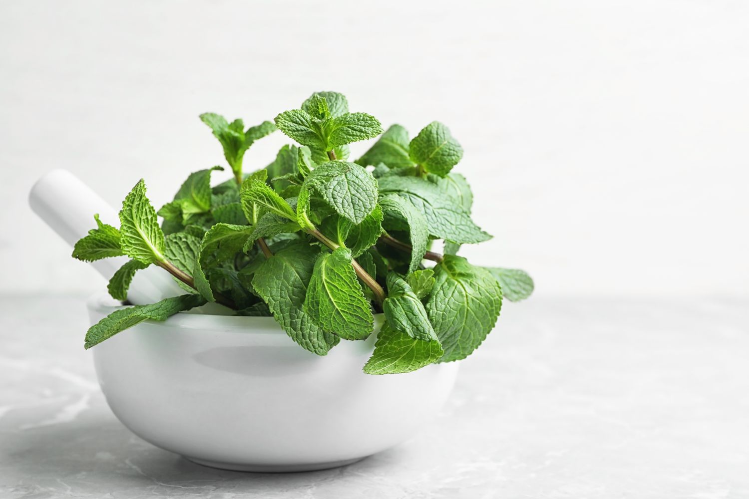 A white mortar filled with fresh mint leaves