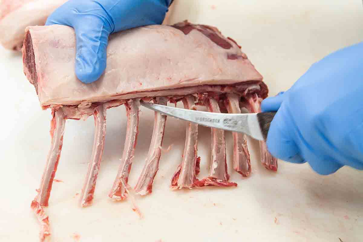 finish cleaning the bones for frenched rack of lamb