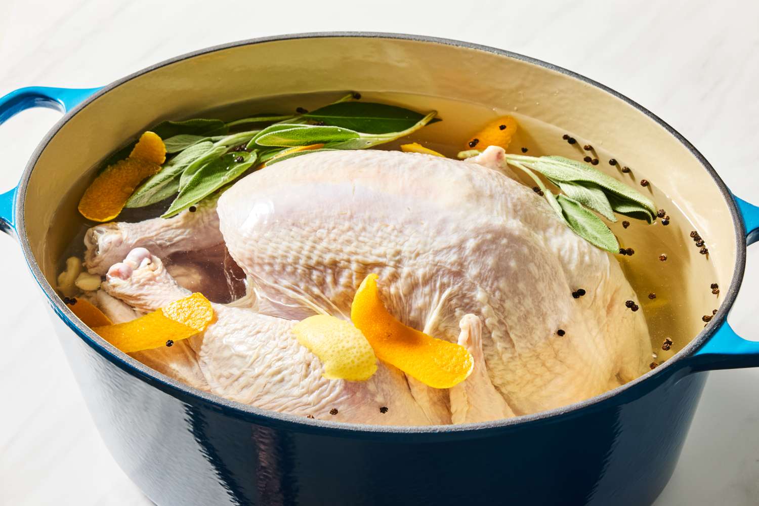 Turkey submerged in a brine with herbs and orange zest placed in a blue pot