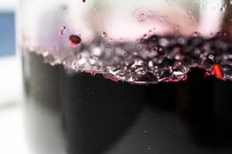 Close Up: Small Bubbles Forming in the Jar as Elderberries Ferment 