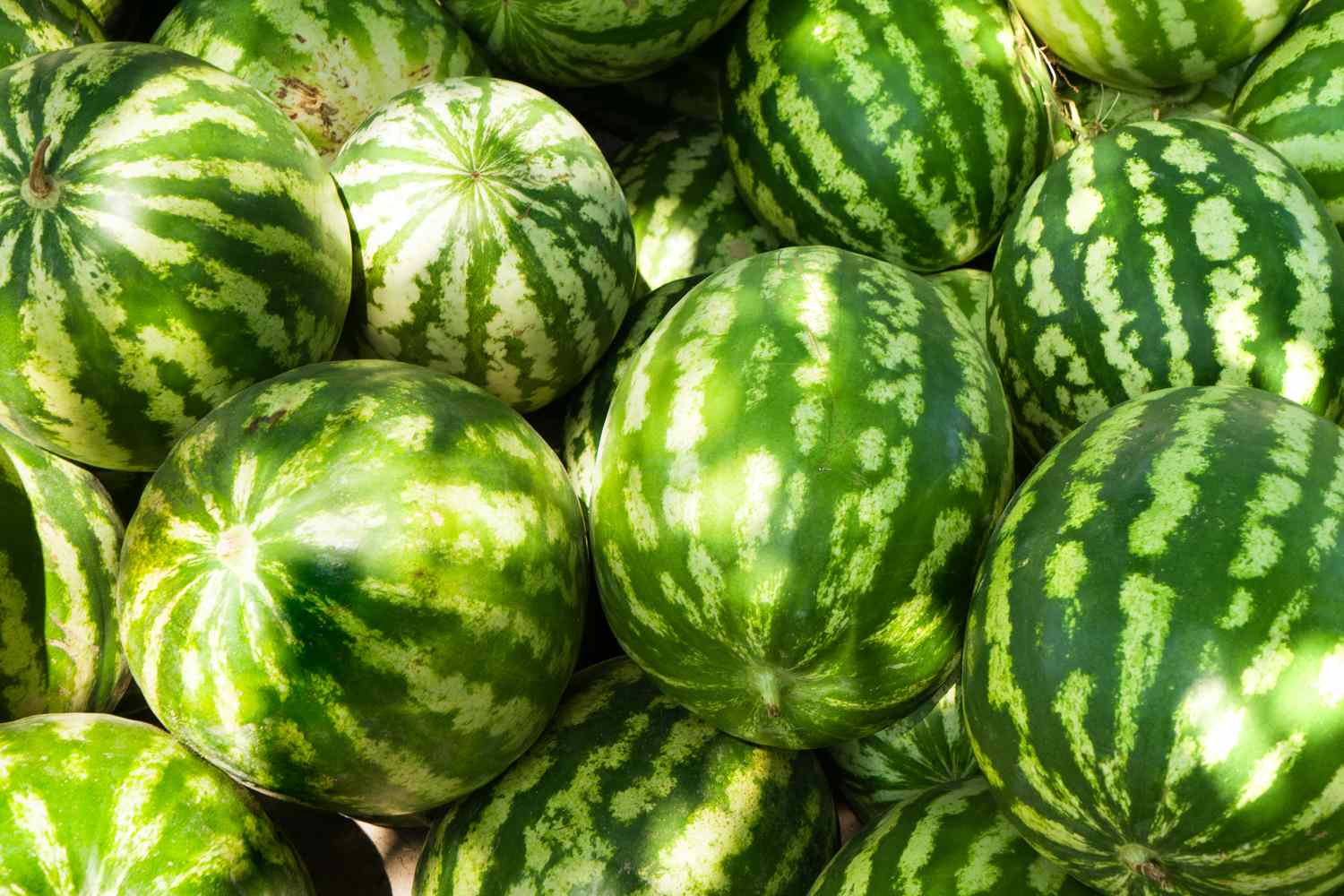 pile of large, green watermelon