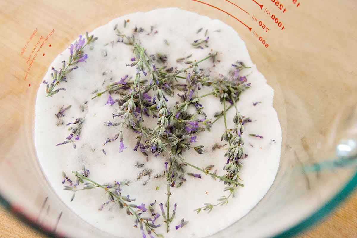 lavender sugar for lemonade recipe
