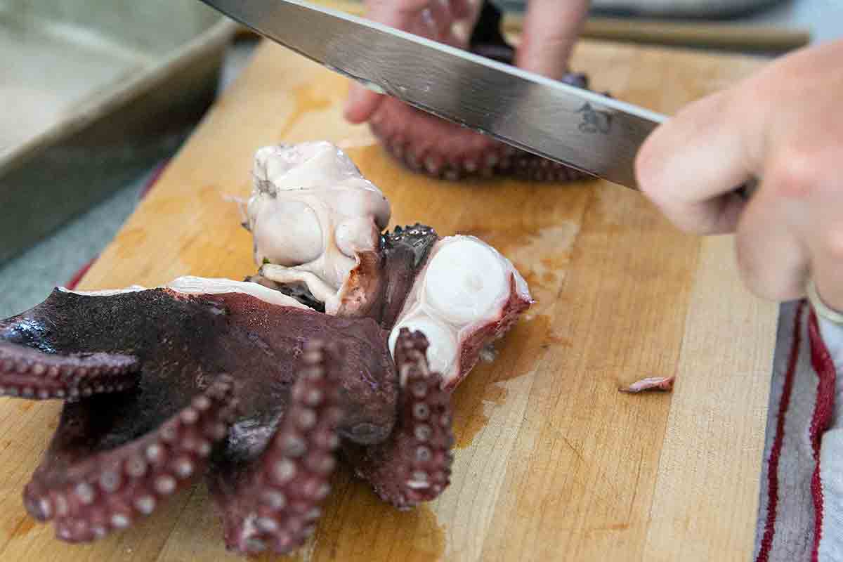 cutting boiled octopus