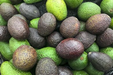 A bunch of avocados in varying hues of green