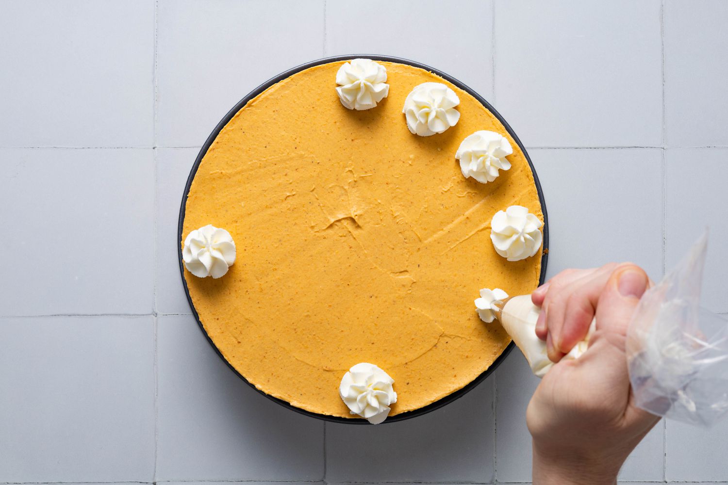 Whipped cream rosettes piped onto the no-bake pumpkin cheesecake (released from springform pan)