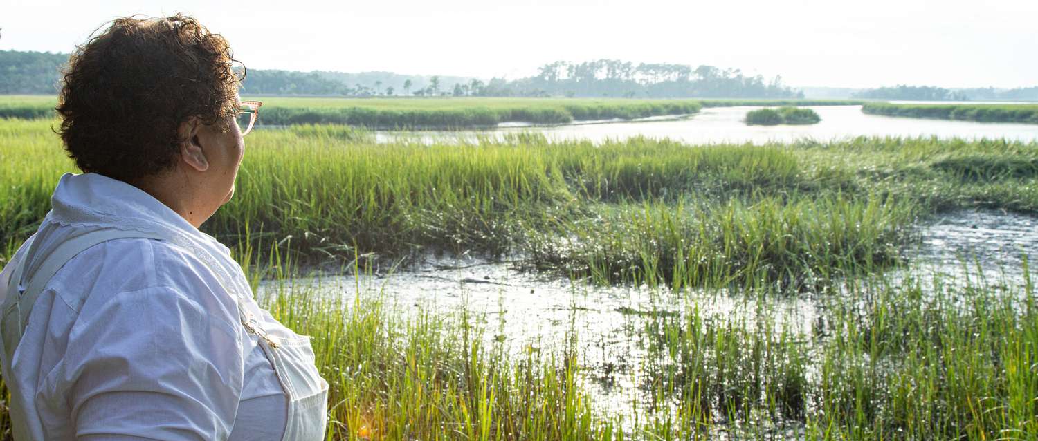 Cheryl Day overlooking wetlands in the South