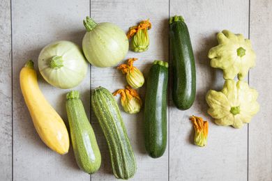 Varieties of summer squash