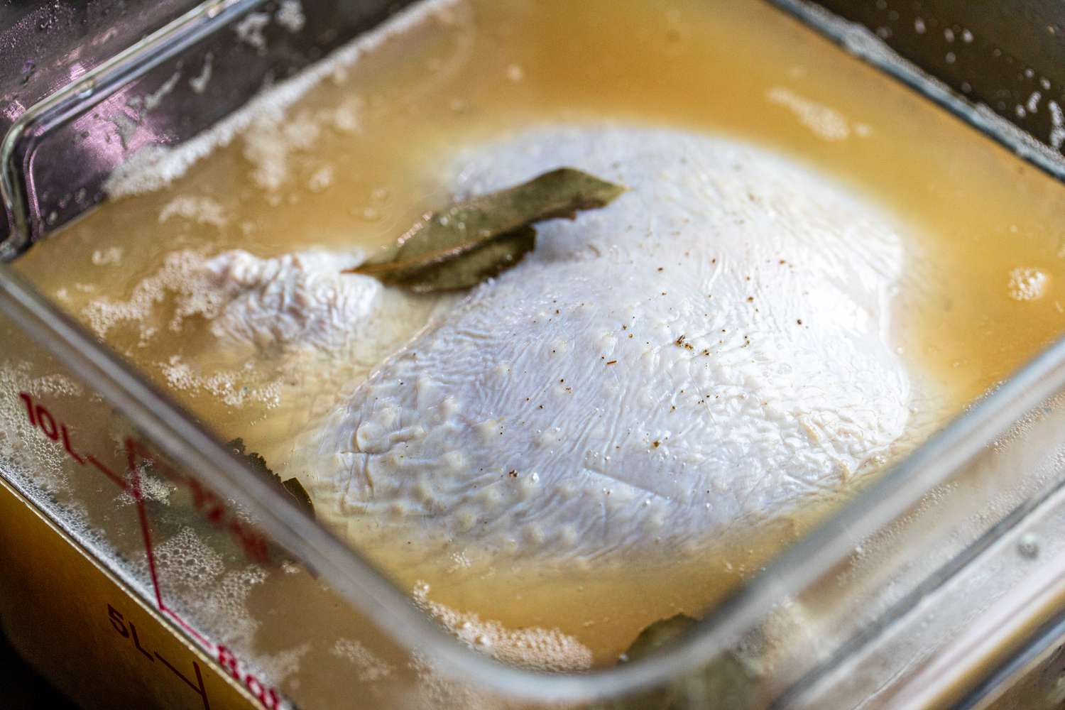 Turkey breast brining in liquid to make cherry wood smoked turkey breast.