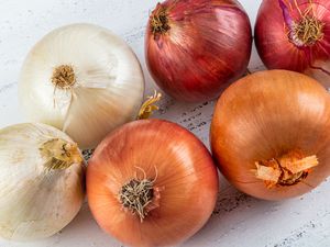 onions on the counter (yellow, white, and red)