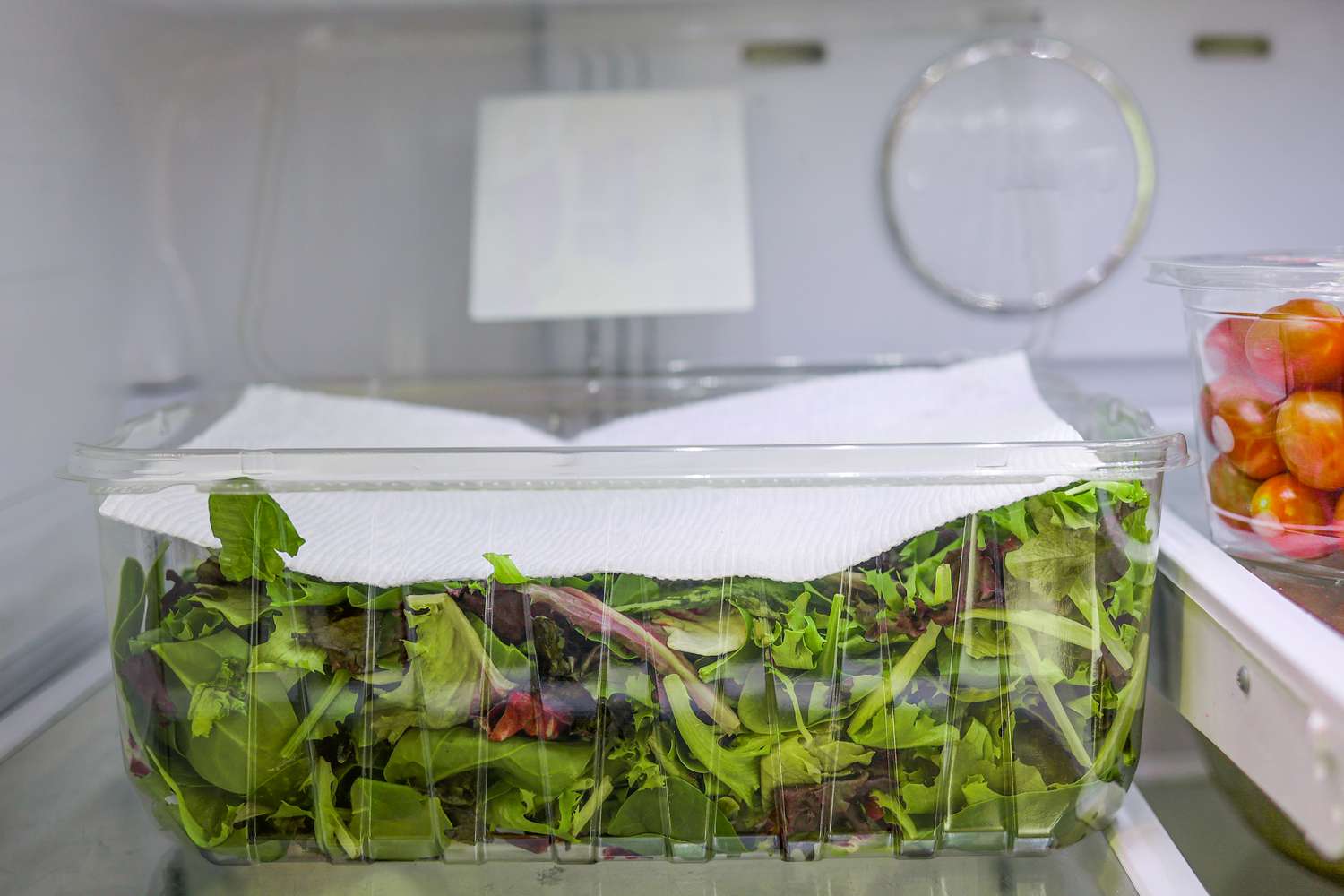 Side view of a container of mixed salad greens with a piece of paper towel on top