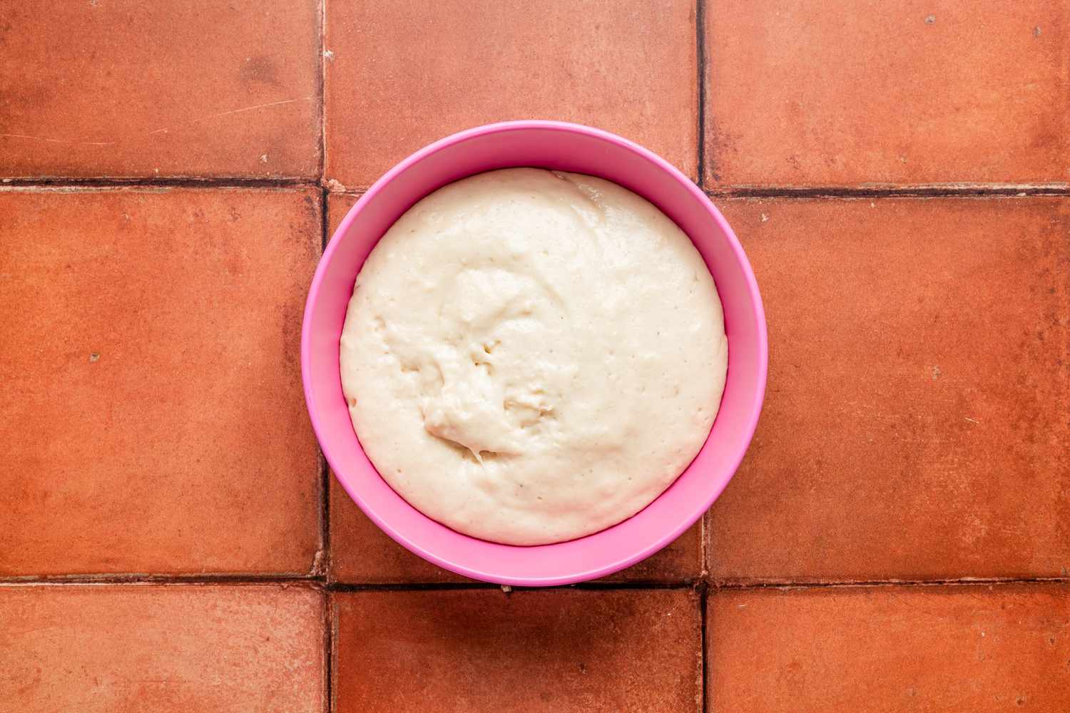 Pan de muerto starter in a bowl after 20 minutes of resting